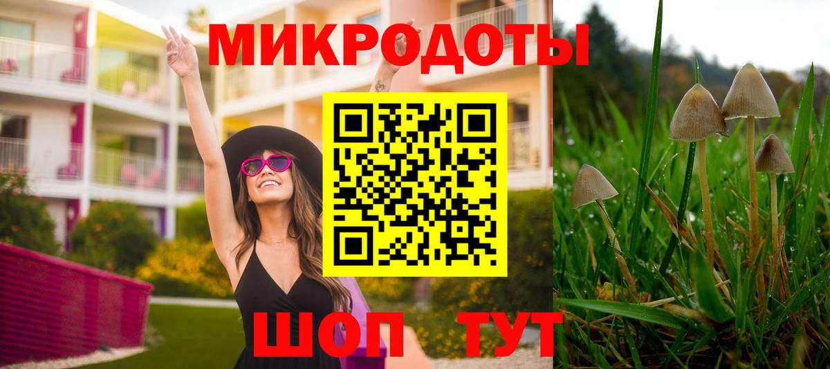 Ленинск-Кузнецкий  Галлюциногенные грибы Cubensis  Вход с VPN 